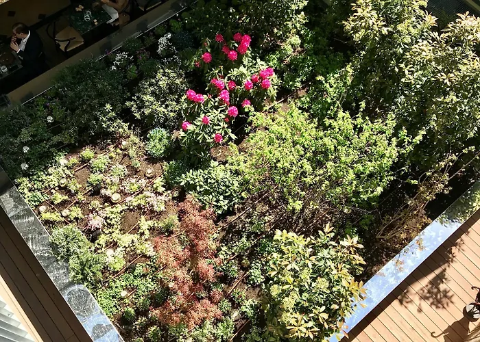 Parister Piscine & 5*