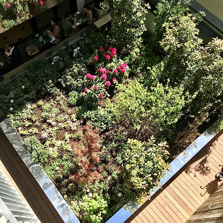 Parister Piscine & 5*